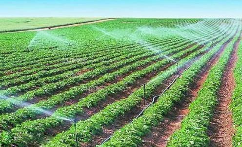 欧美插鸡巴农田高 效节水灌溉